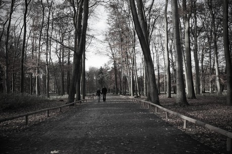 lindenthal