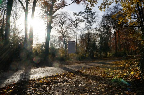 lindenthal