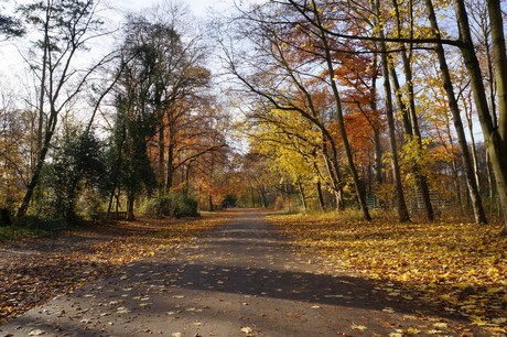 lindenthal