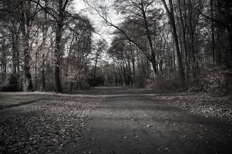 lindenthal