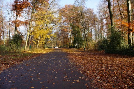 lindenthal