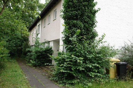 lindenthal