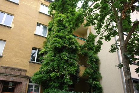 lindenthal