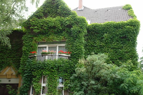lindenthal