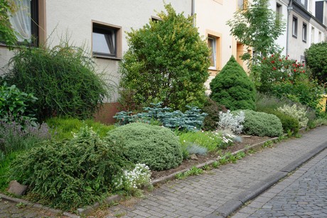 lindenthal