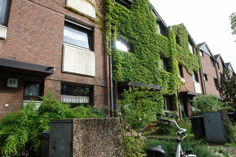 lindenthal