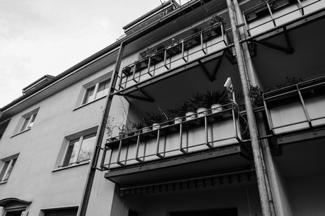 lindenthal