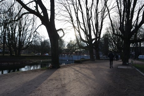 lindenthal