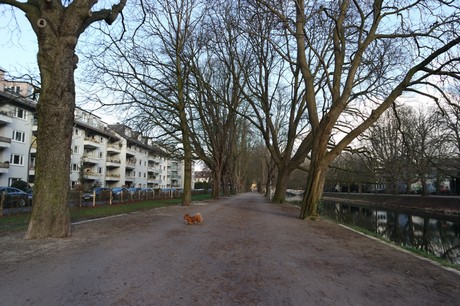 lindenthal