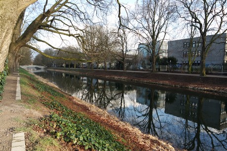 lindenthal