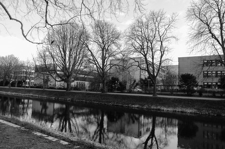 lindenthal