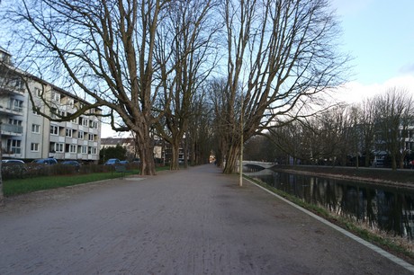 lindenthal