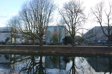 lindenthal