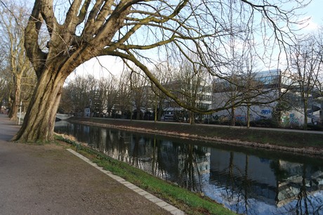 lindenthal