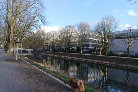 lindenthal