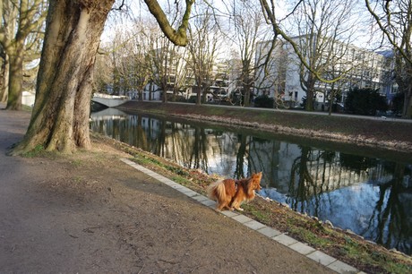lindenthal