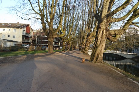 lindenthal