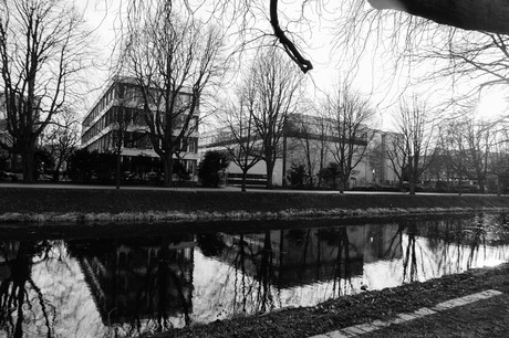 lindenthal