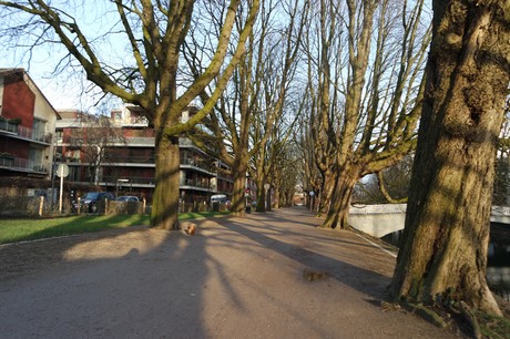 lindenthal