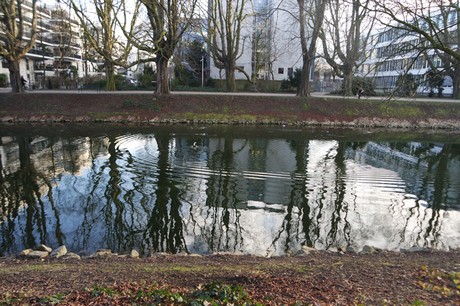 lindenthal