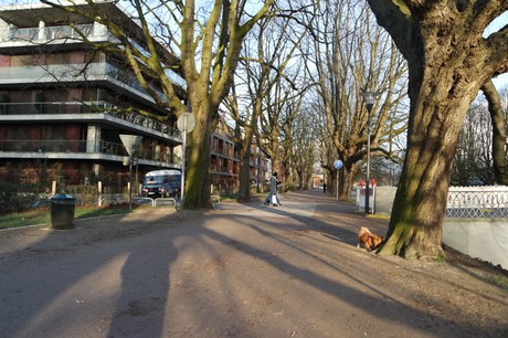 lindenthal