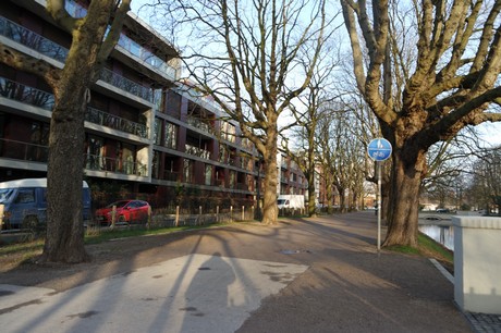 lindenthal