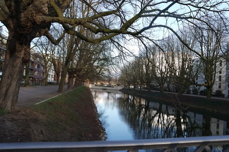 lindenthal