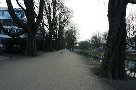 lindenthal