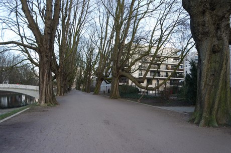lindenthal