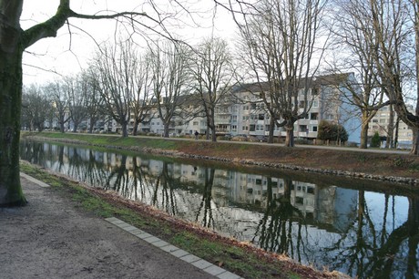 lindenthal