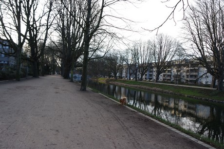 lindenthal