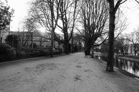 lindenthal