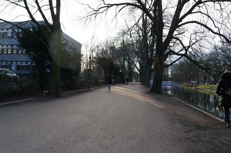 lindenthal