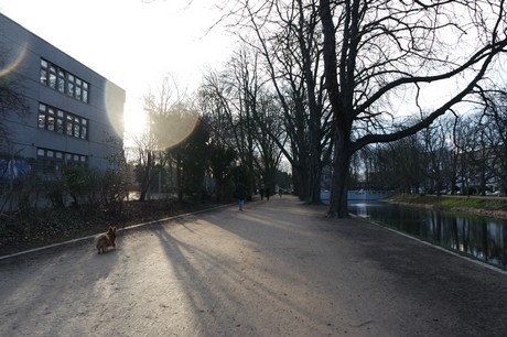 lindenthal