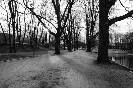 lindenthal