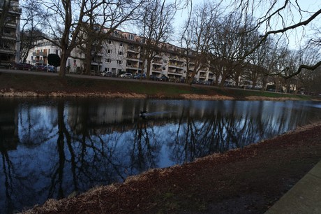 lindenthal