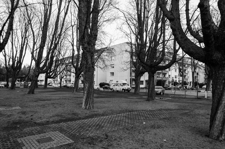 lindenthal