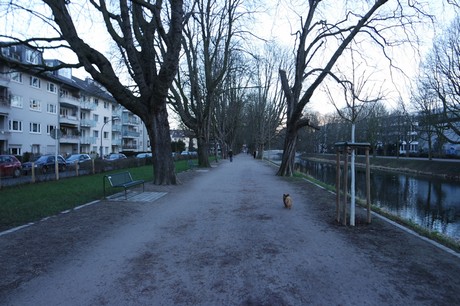 lindenthal