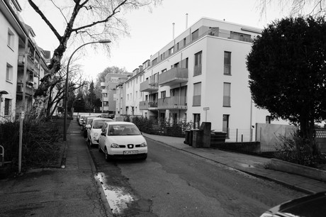lindenthal