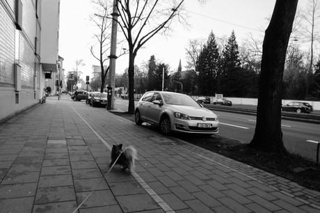 lindenthal