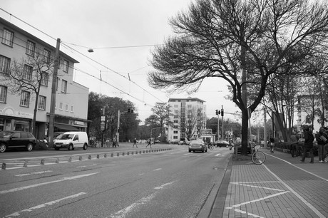 lindenthal