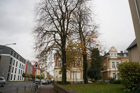 lindenthal