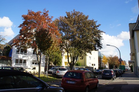 lindenthal