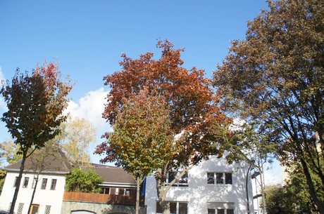 lindenthal