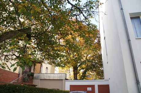 lindenthal