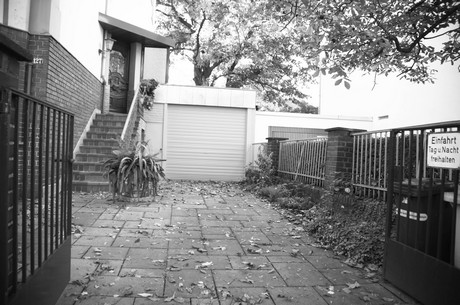 lindenthal