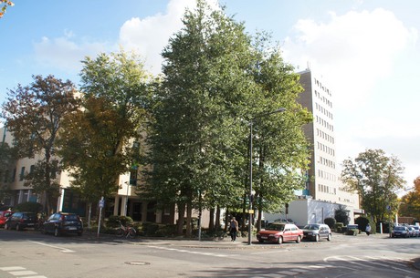 lindenthal