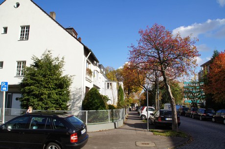 lindenthal