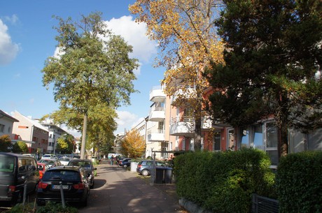 lindenthal