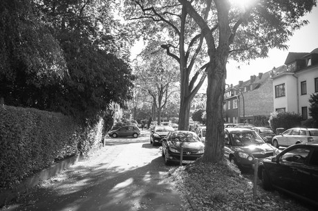 lindenthal